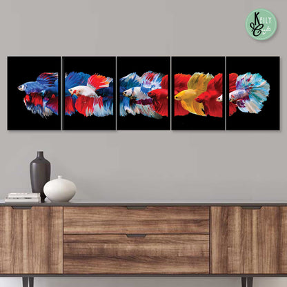 Colorful Lucky Betta Fish - Set of 5 Framed Prints Wall Art Home Decor