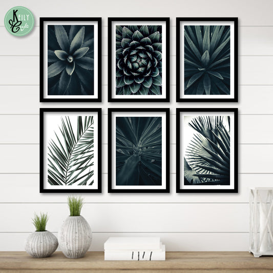 Cactus Plant Wall Art - Set of 6 Framed Prints Wall Art Home Decor