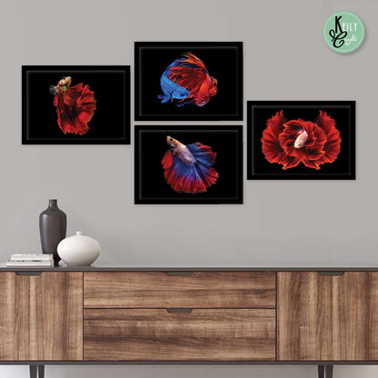 Fengshui Colorful Fish - Set of 4 Framed Prints Wall Art Home Decor