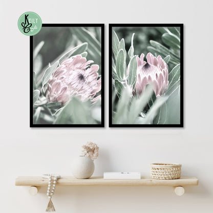 Protea Flower Wall Art - Set of 2 Framed Prints Wall Art Home Decor