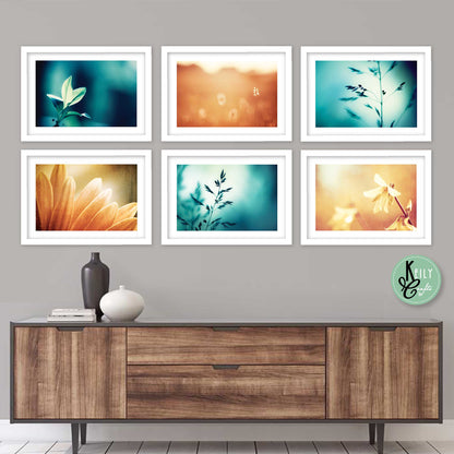 Brown and Teal Botanical - Set of 6 Framed Prints Wall Art Home Decor