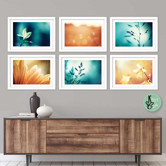 Brown and Teal Botanical - Set of 6 Framed Prints Wall Art Home Decor