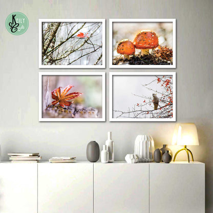 Autumn Nature - Set of 4 Framed Prints Wall Art Home Decor