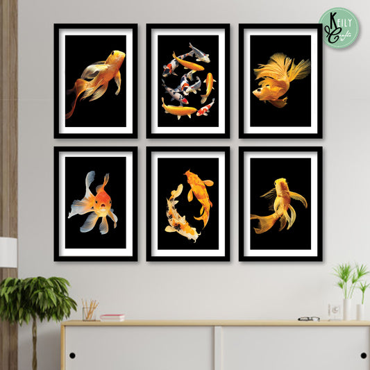 Koi Fish - Set of 6 Framed Prints Wall Art Home Decor