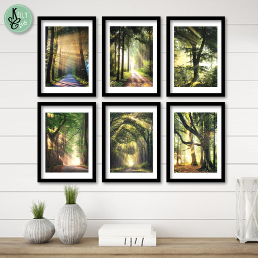 Forest Sunlight Wall Art - Set of 6 Framed Prints Wall Art Home Decor